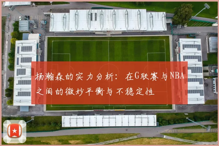 杨瀚森的实力分析：在G联赛与NBA之间的微妙平衡与不稳定性